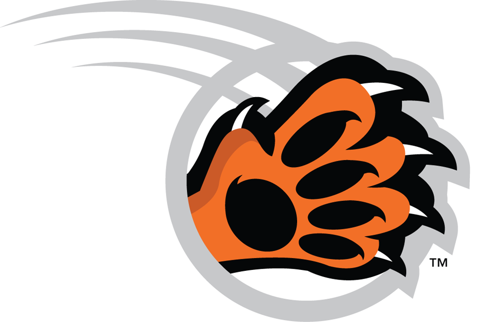 RIT Tigers 2004-Pres Alternate Logo v4 diy iron on heat transfer